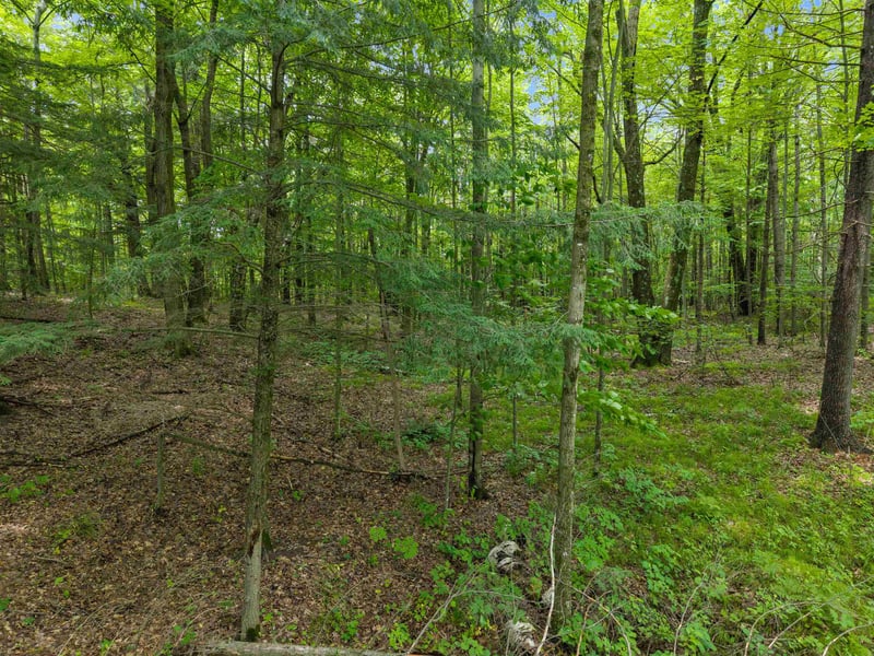 Island Lake Ln, Gresham, WI 54128