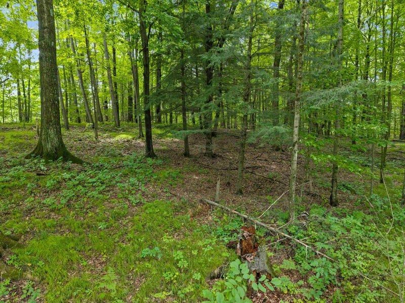 Island Lake Ln, Gresham, WI 54128