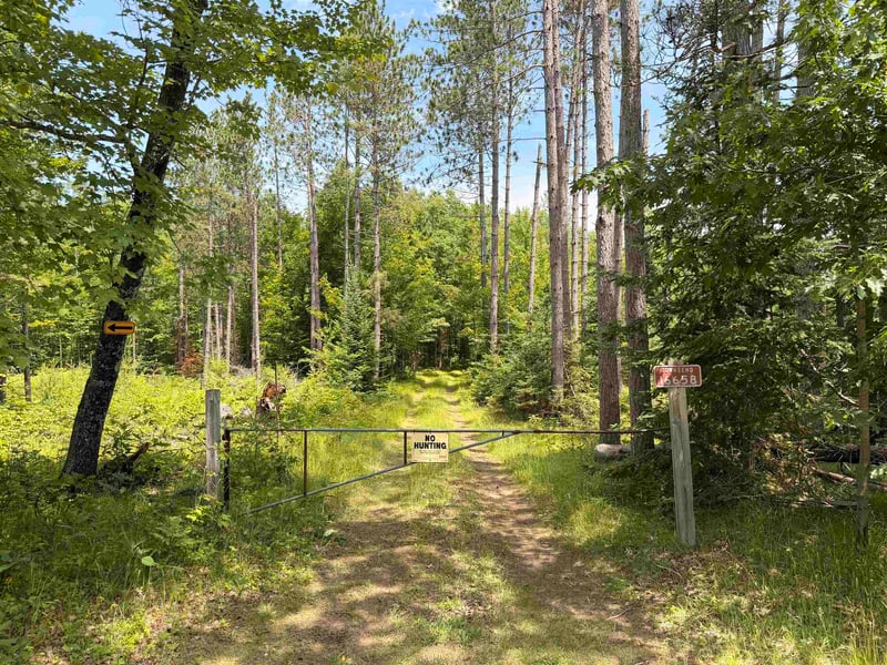 Bass Lake Rd, Townsend, WI 54175
