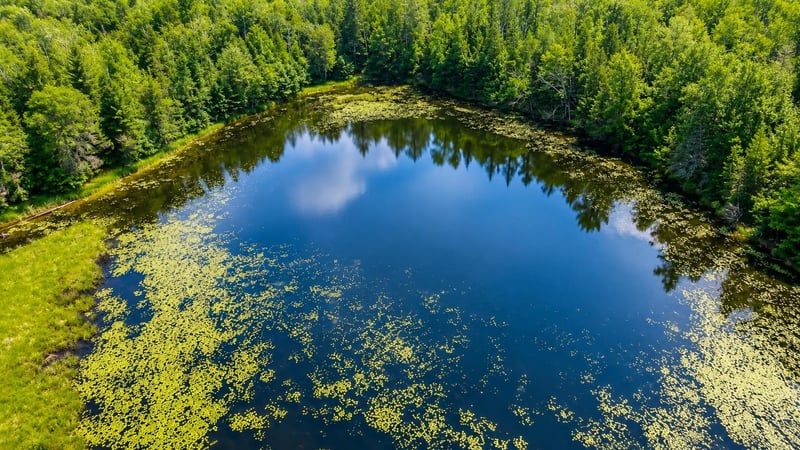 Bass Lake Rd, Townsend, WI 54175