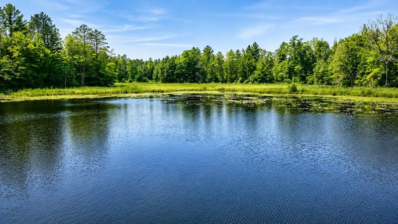Bass Lake Rd, Townsend, WI 54175