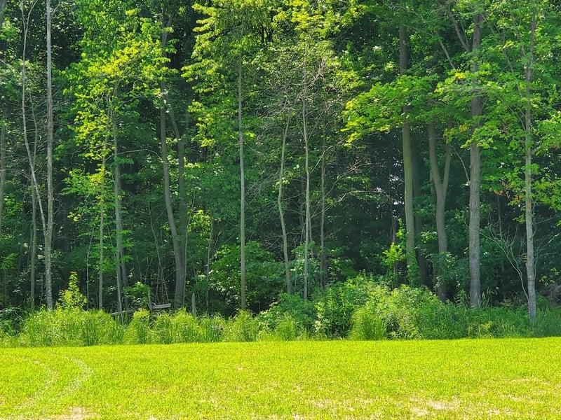 W8297 County Rd I, Clintonville, WI 54929