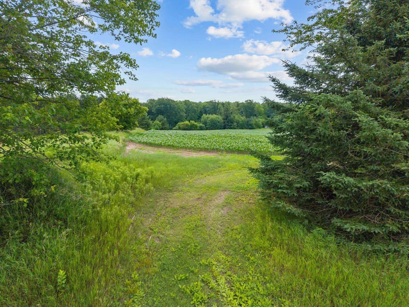 W5999 County Road T, Shawano, WI 54166