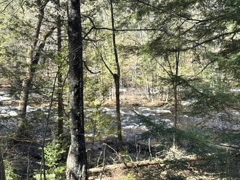 14089 Section 4 Ln, Mountain, WI 54149