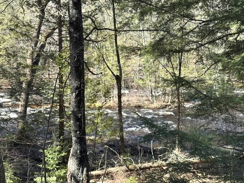 14089 Section 4 Ln, Mountain, WI 54149