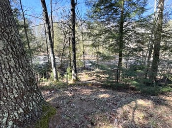 14089 Section 4 Ln, Mountain, WI 54149