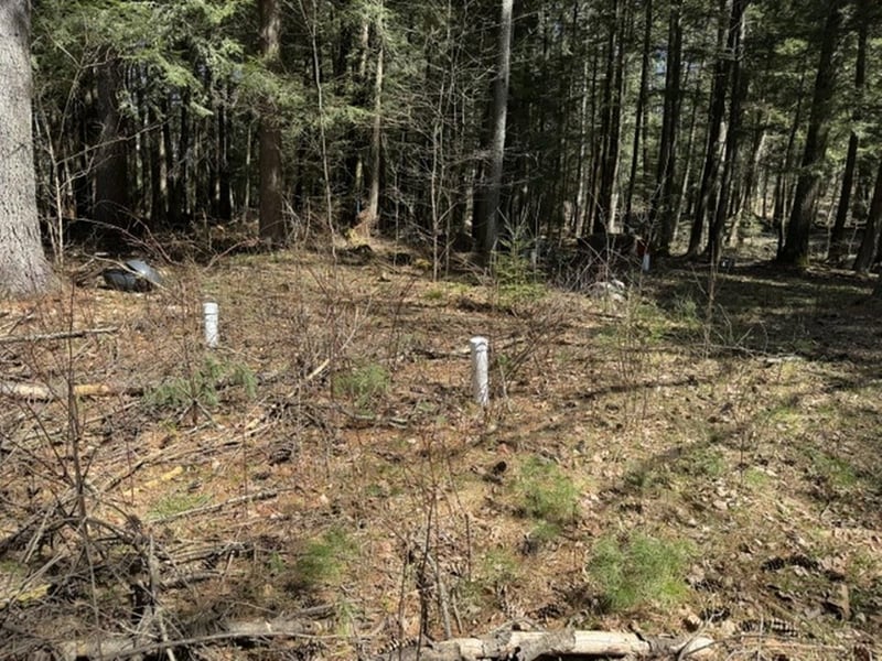 14089 Section 4 Ln, Mountain, WI 54149