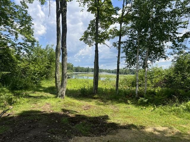 17560 Bass Point Ln, Townsend, WI 54175
