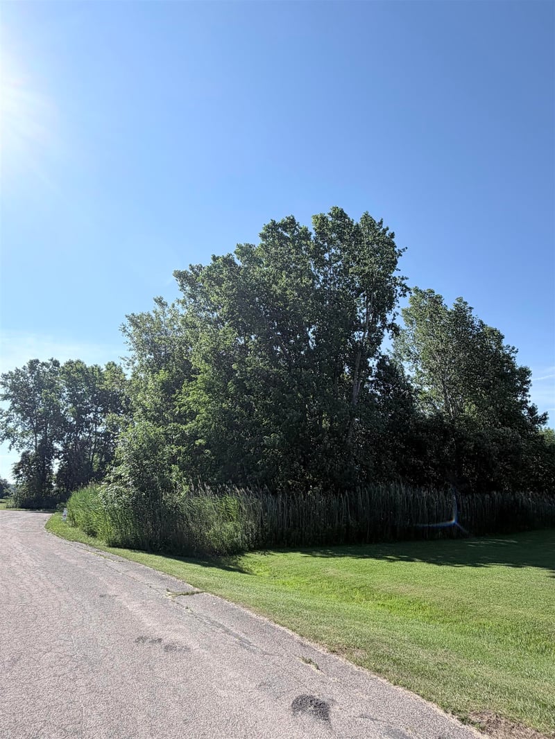 Whisper Ct, Abrams, WI 54101