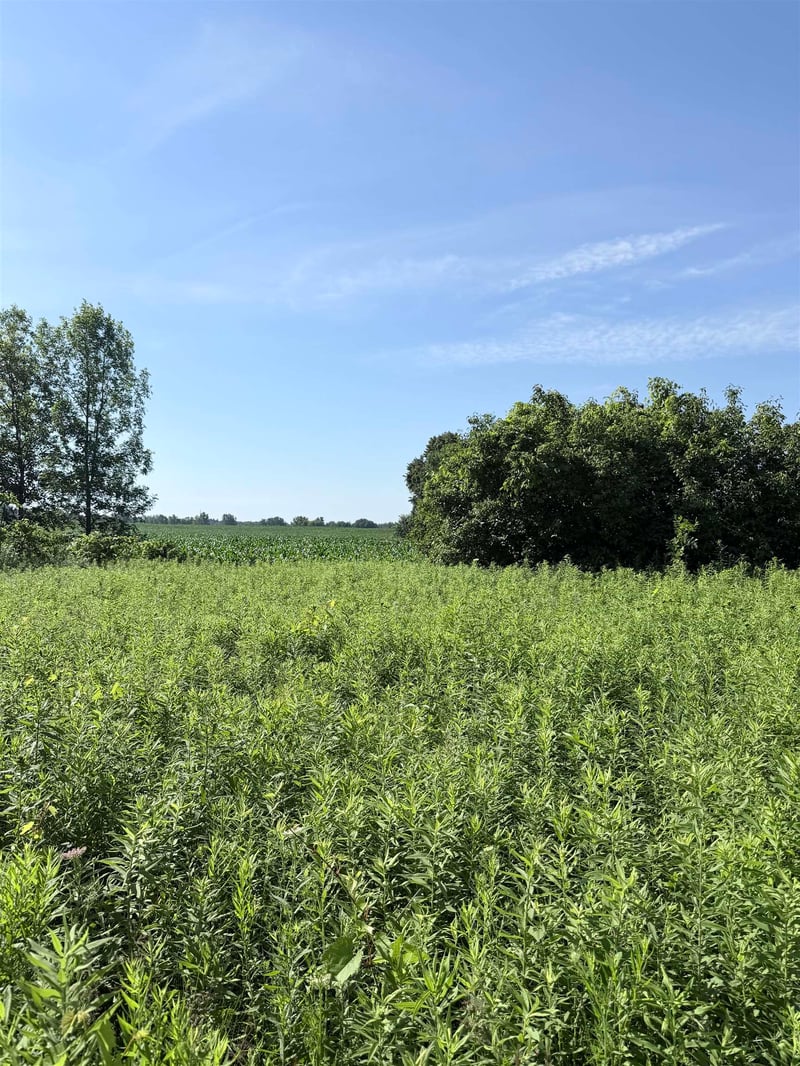 Whisper Ct, Abrams, WI 54101