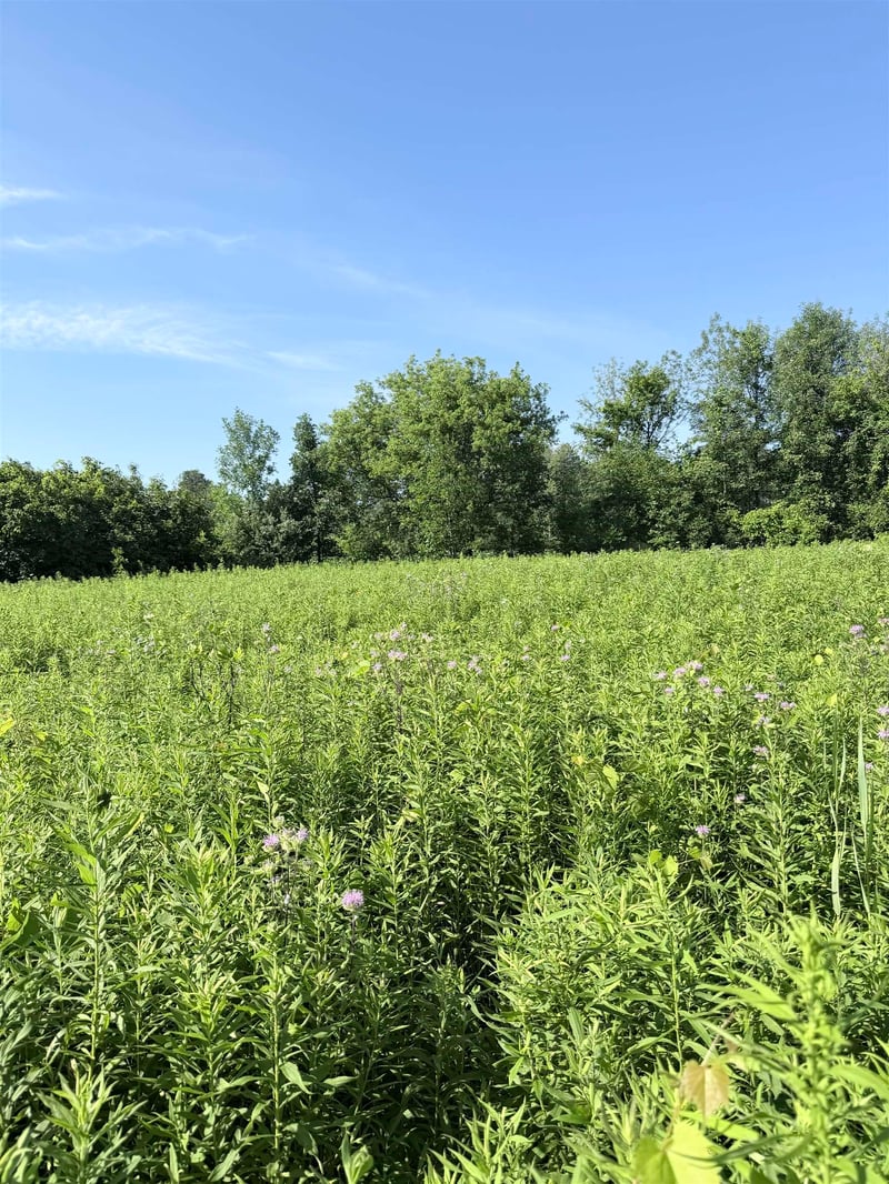 Whisper Ct, Abrams, WI 54101