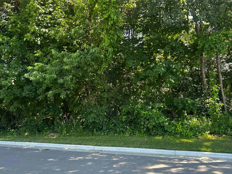 Andrews St #4, Shawano, WI 54166