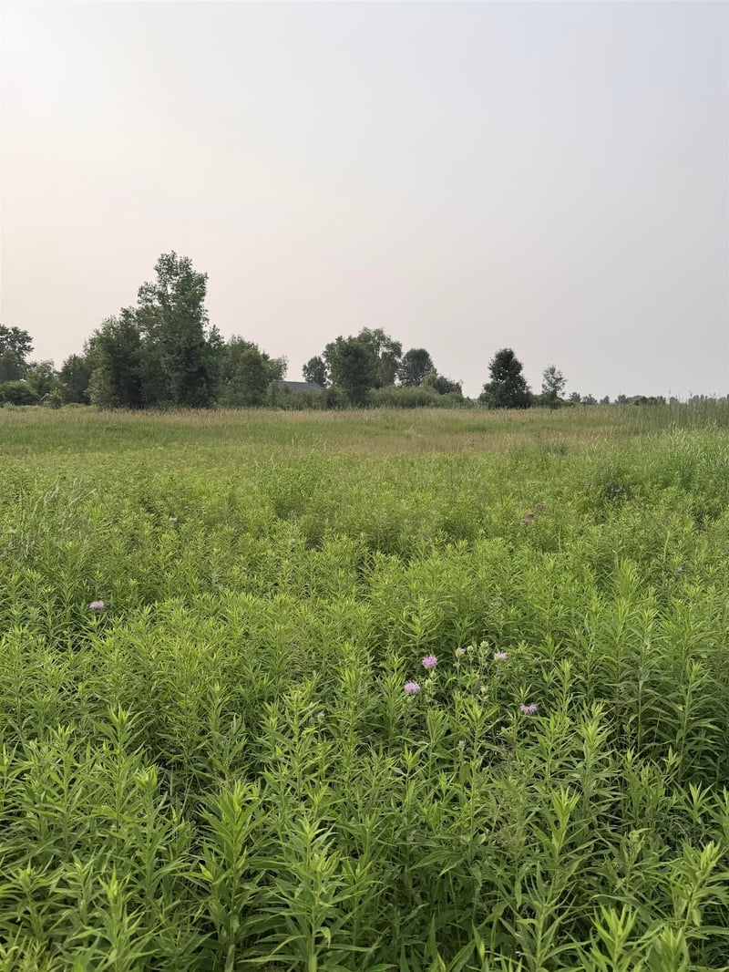 Foxwoods Ln, Abrams, WI 54101