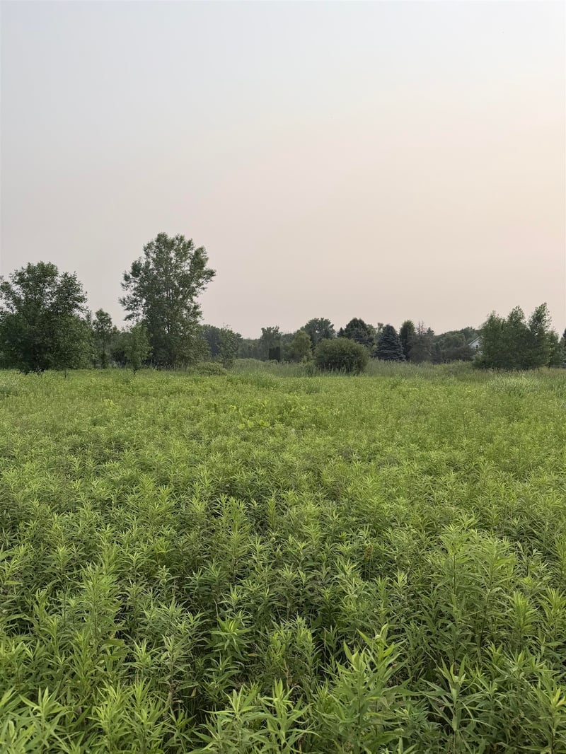 Foxwoods Ln, Abrams, WI 54101