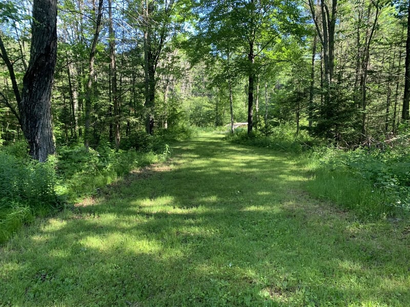 4666 Us Hwy 8, Laona, WI 54541-0000