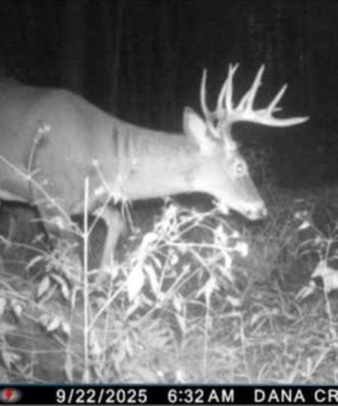 W17810 Eland Rd, Wittenberg, WI 54499
