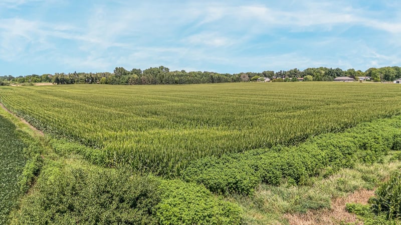 County Road T, Larsen, WI 54947