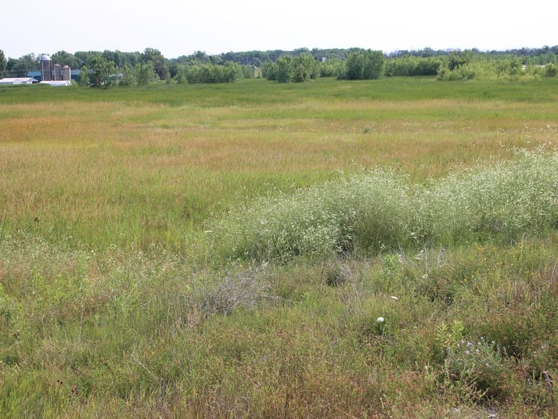 Lot 2 Sandhill Dr #2, Oconto, WI 54153