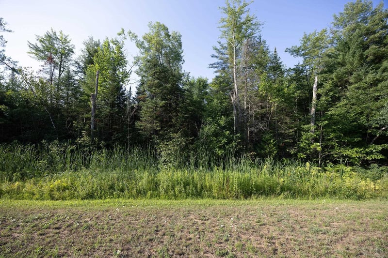 Lot 1 Hwy 64 Rd, Suring, WI 54174