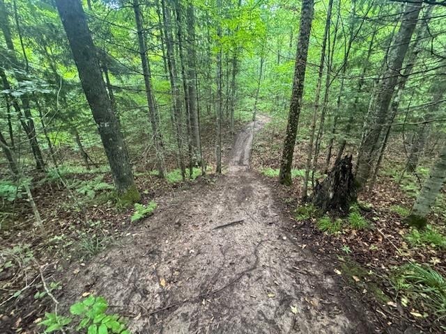18486 Valley View Rd, Townsend, WI 54175