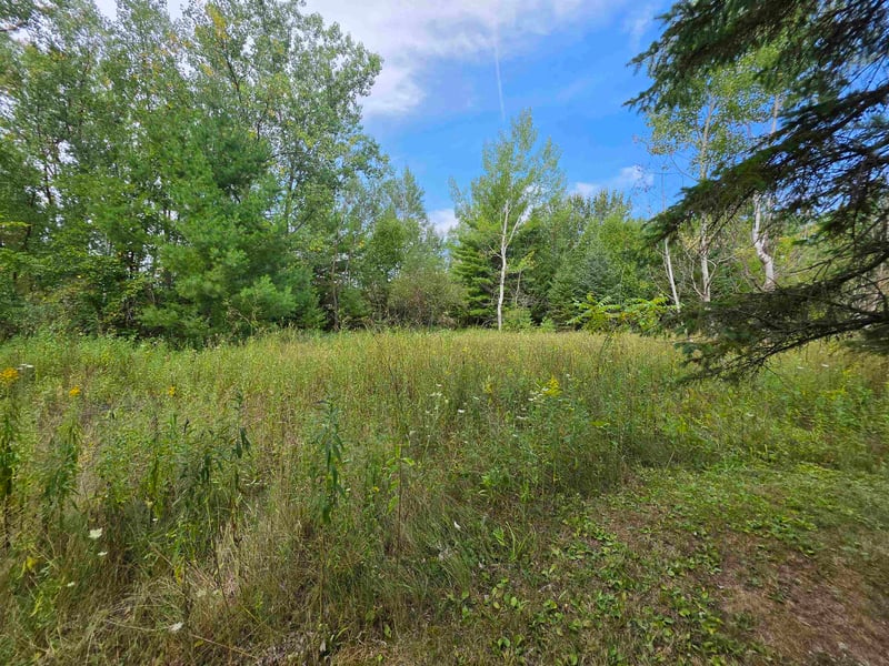 243 Park Ave, Oconto Falls, WI 54154-1624