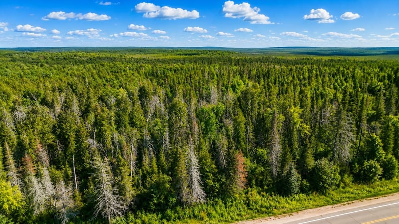 6874 State Hwy 32, Argonne, WI 54511