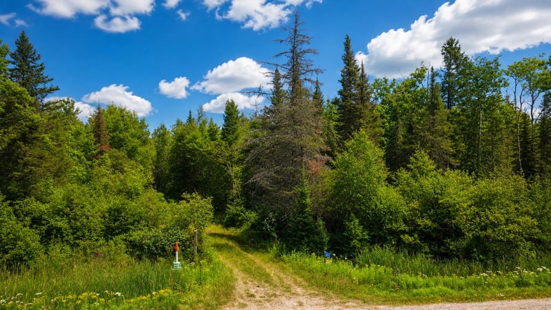 6874 State Hwy 32, Argonne, WI 54511