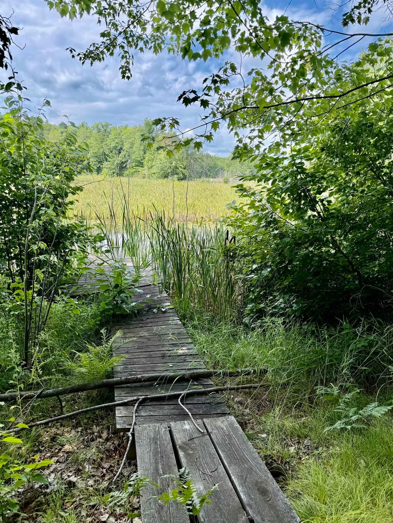 17151 Archibald Lake Rd, Townsend, WI 54175