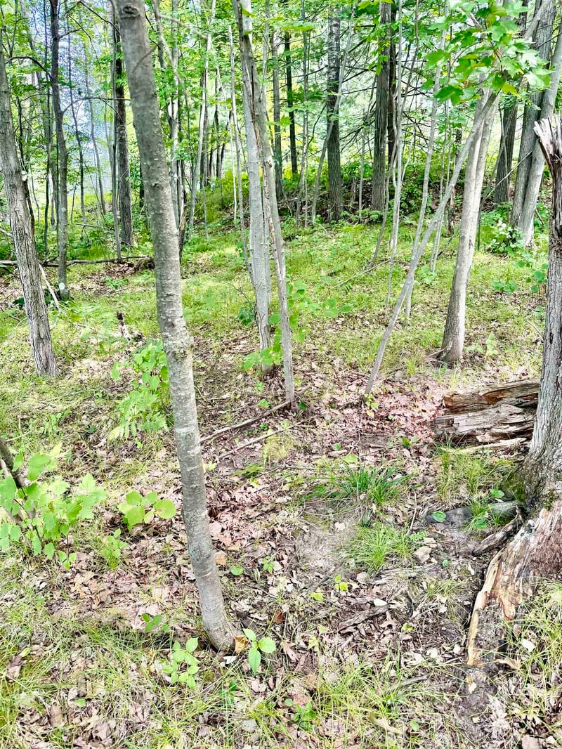 17151 Archibald Lake Rd, Townsend, WI 54175