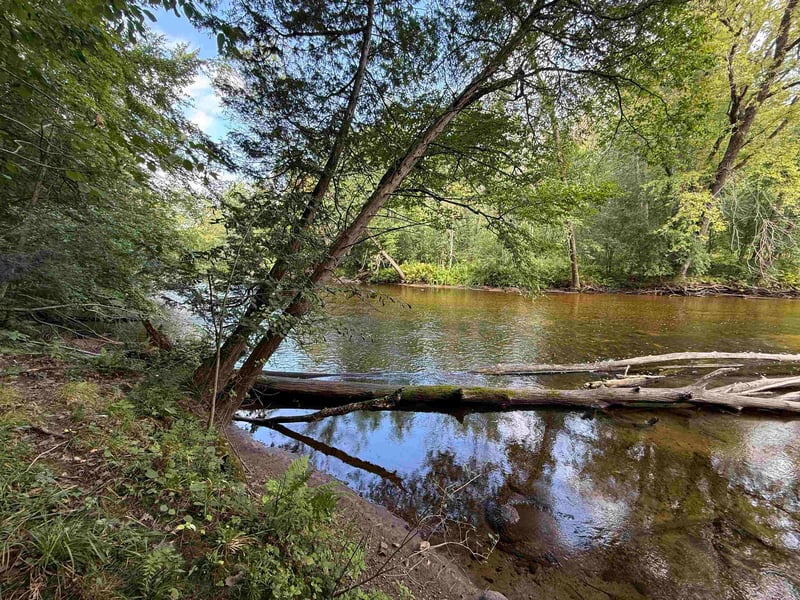 W8514 Timm Ln, Shawano, WI 54166