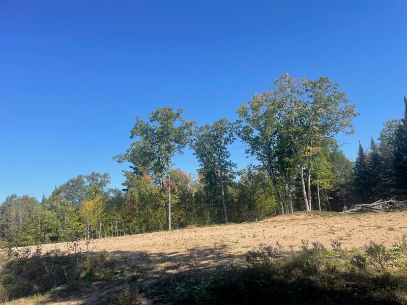 Angel Crest Ln #17, Lakewood, WI 54138