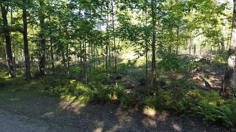 Tower Dr, Crandon, WI 54520