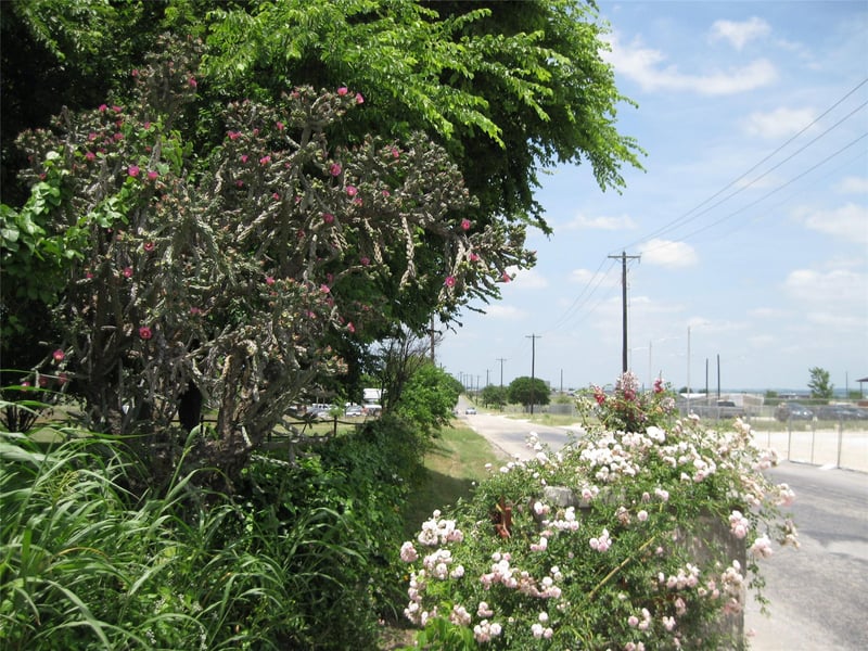 00 County Road 133, Hutto, TX 78634