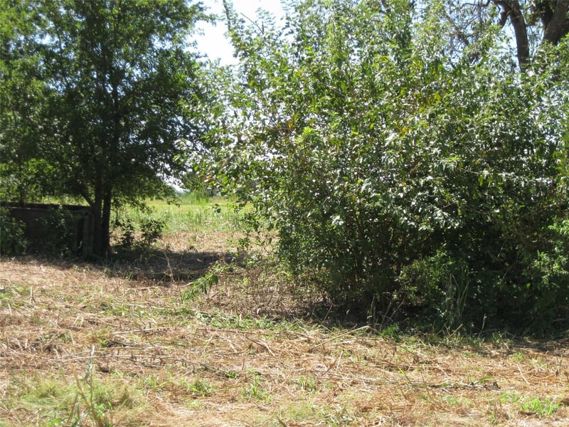 00 County Road 133, Hutto, TX 78634