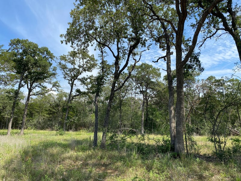 TBD High Crossing Rd Tract 8, Smithville, TX 78957