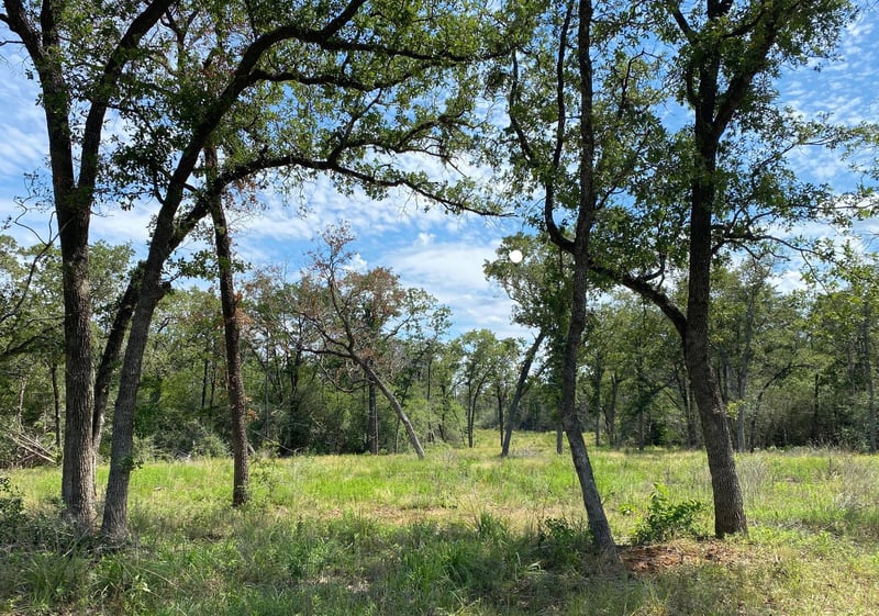 TBD High Crossing Rd Tract 8, Smithville, TX 78957