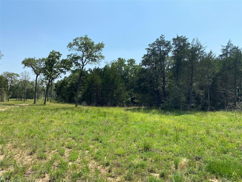 TBD High Crossing Rd Tract 8, Smithville, TX 78957