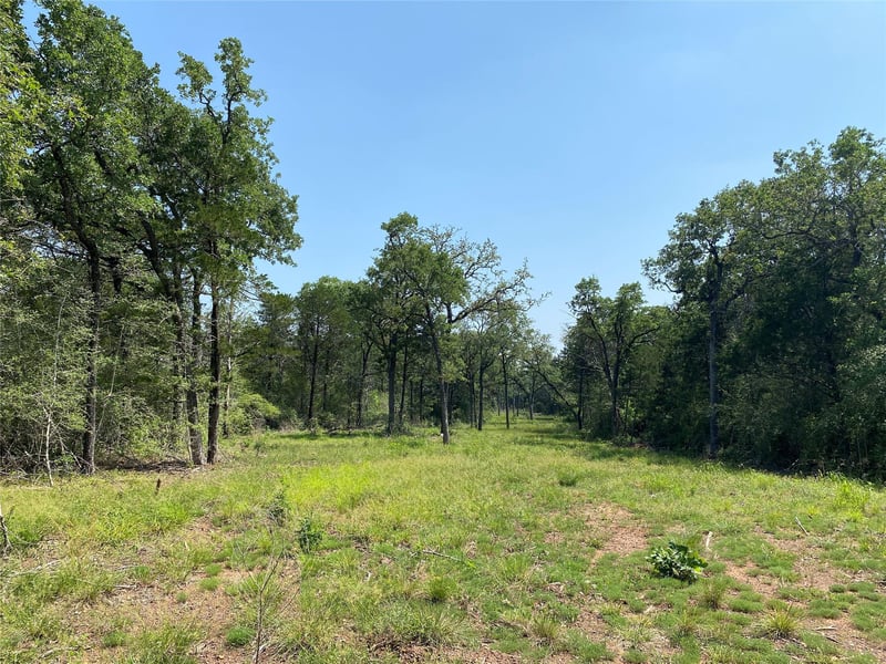 TBD High Crossing Rd Tract 8, Smithville, TX 78957