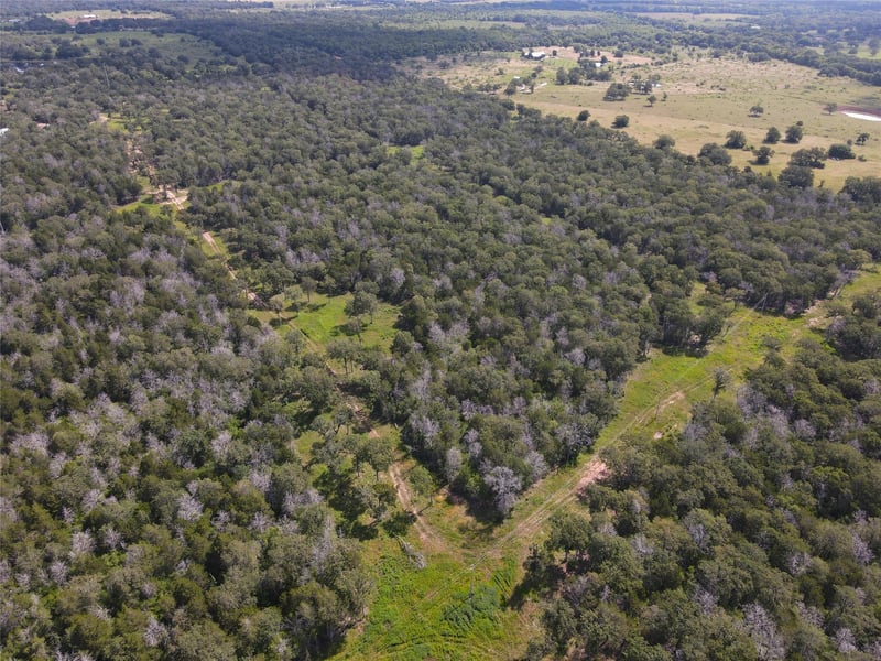 TBD High Crossing Rd Tract 8, Smithville, TX 78957