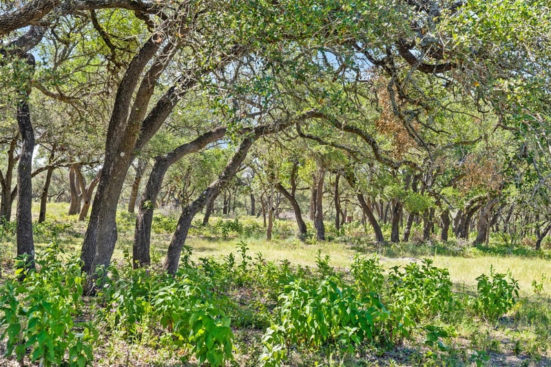 Tract 12 Lewdele LN, Blanco, TX 78671