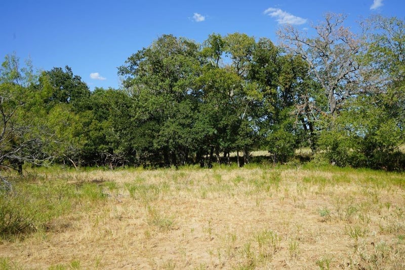 TBD 1 Cr 236a, Milano, TX 76556
