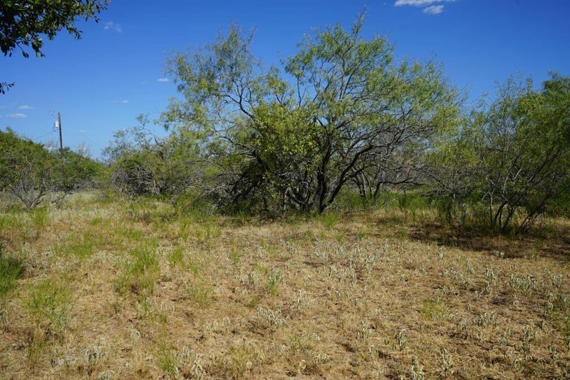 TBD 1 Cr 236a, Milano, TX 76556