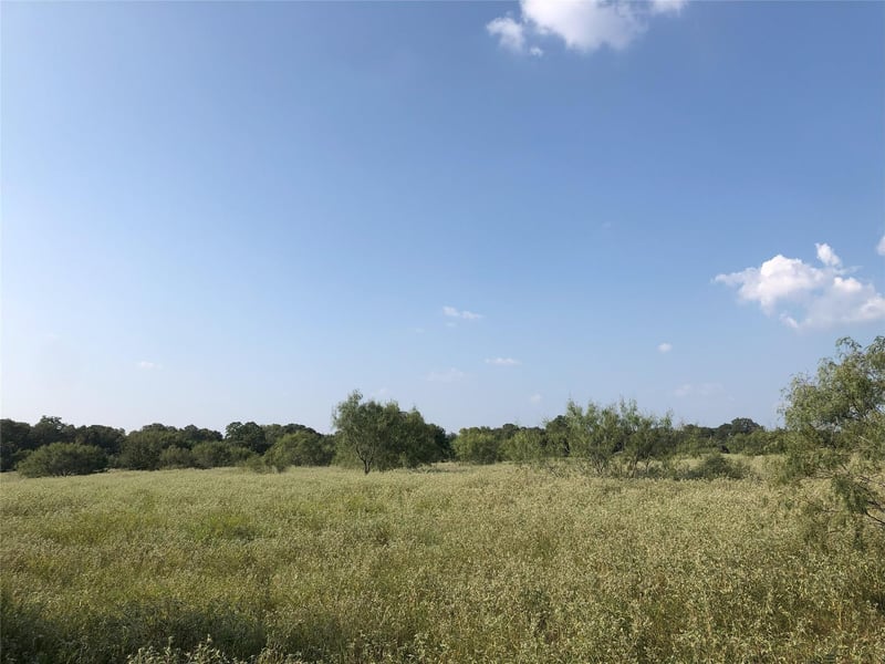 270 Wild Plum RD, Lockhart, TX 78644