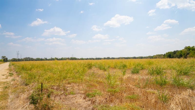 5647 Cr 429, Thorndale, TX 76577