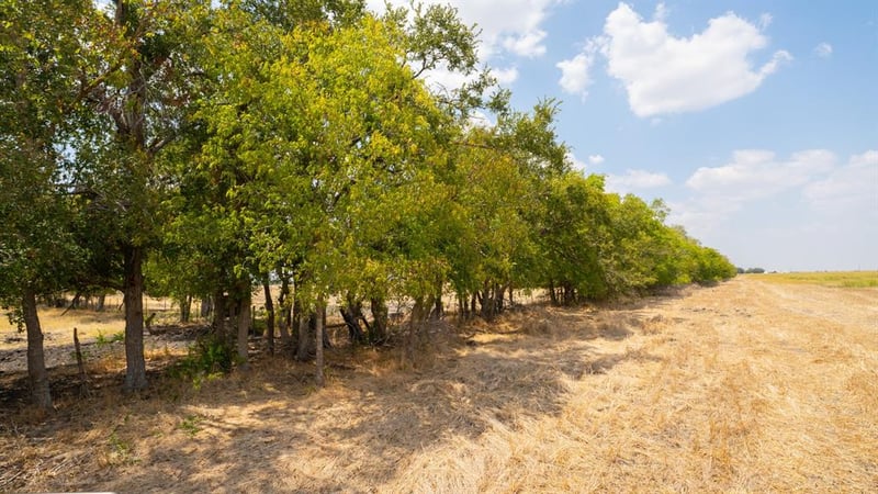 5647 Cr 429, Thorndale, TX 76577