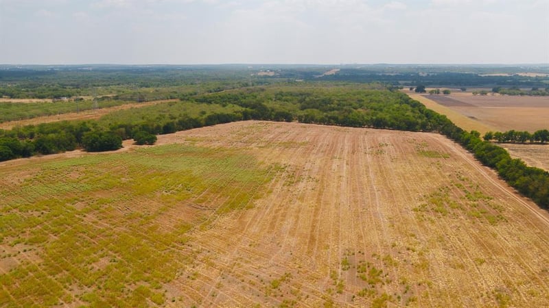 5647 Cr 429, Thorndale, TX 76577