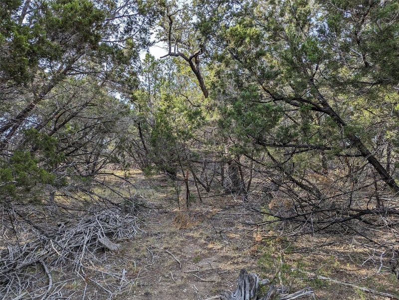 TBD Abilene ST, Wimberley, TX 78676
