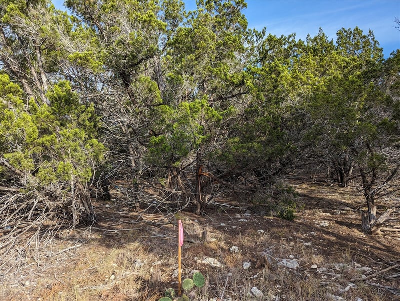 TBD Abilene ST, Wimberley, TX 78676