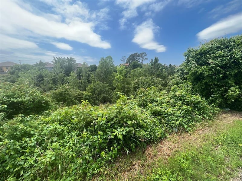 TBDD Pahala CT, Bastrop, TX 78602