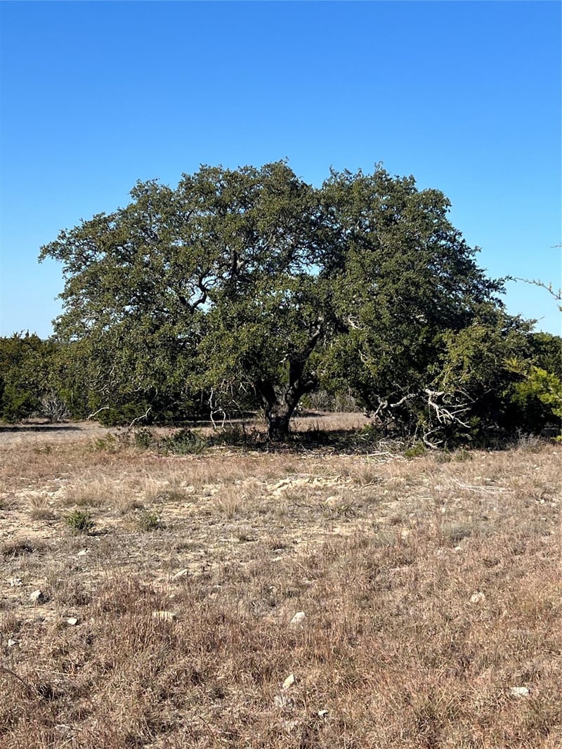 Lot 138 High Point DR, Kempner, TX 76539